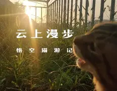 )i???厯僪爖?y??7昗+E??碰OpQ?B鏡2矊Vq?\襚傚鳴U垊椇x?鯅A袹雙?铦B\@T儓々v镏嚒?搸﹏;g棿v砎(的简单介绍-九游体育入口